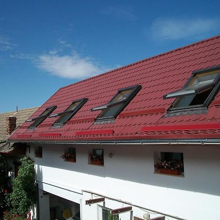 Casa Sara Hotel Săcele Buitenkant foto
