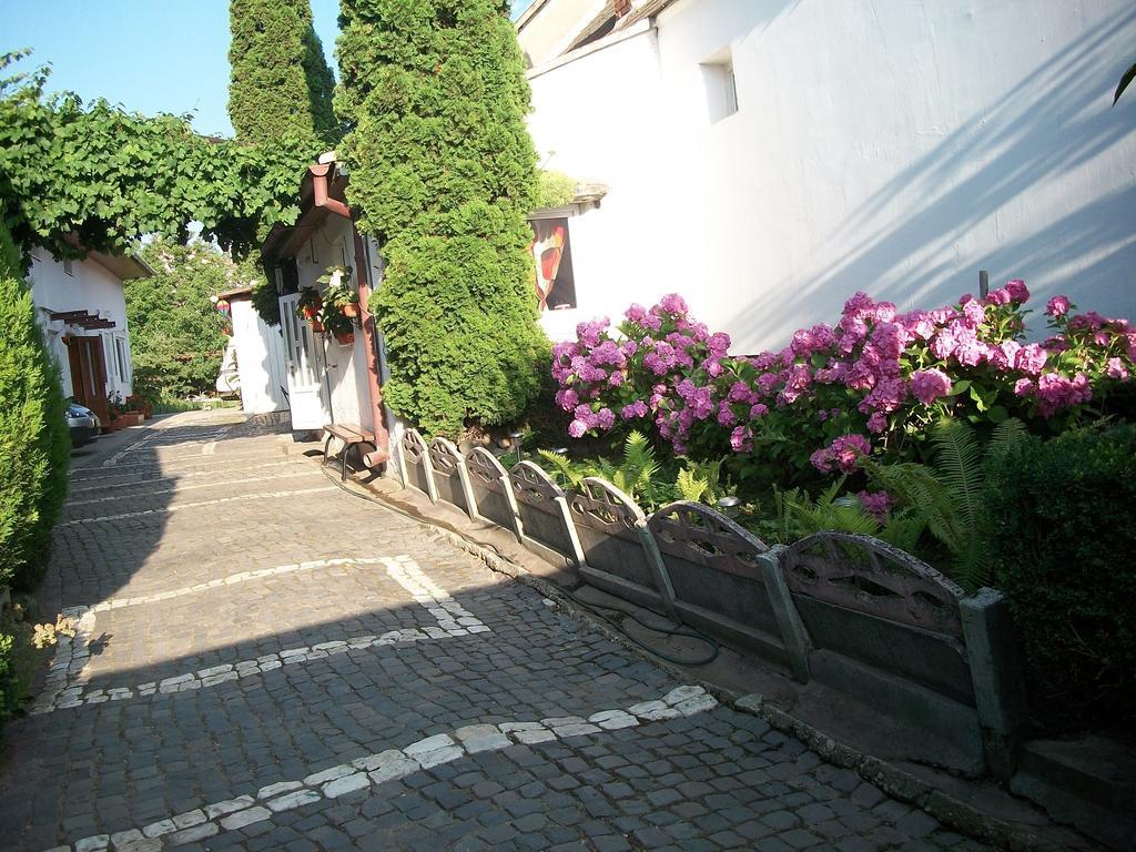 Casa Sara Hotel Săcele Buitenkant foto